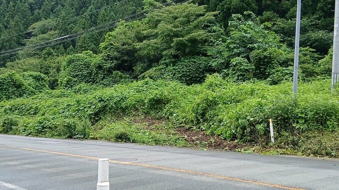 軽乗用車が道路のり面に衝突、男性1人が死亡　業務中の事故（山形）　|　山形のニュース│TUYテレビユー山形