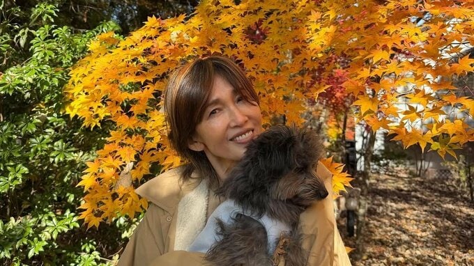 【工藤静香】「紅葉　なんて美しいのだろう」愛犬と秋の風景を満喫するオフショットを公開|TBS NEWS DIG