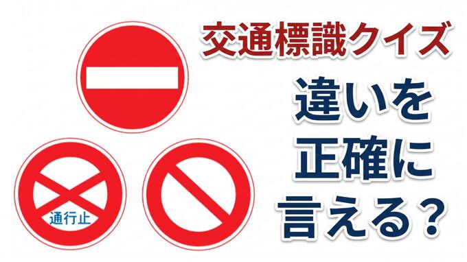 【交通標識クイズ】運転免許を持っている人なら分かる「入ってはいけない」3つの標識　その違いを正確に説明できますか？|TBS NEWS DIG