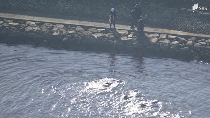 17歳高校生 遺体発見の4日前 友人宅で何らかのトラブルか【浜名湖殺人・続報】|TBS NEWS DIG