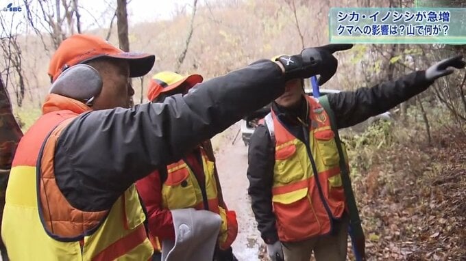 クマによる人身被害増加の背景にシカ・イノシシの急増が？　ハンターや専門家が指摘する「山の異変」　岩手|TBS NEWS DIG