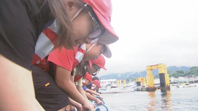 小学生がカサゴの稚魚600匹を放流…地元の水産業を学ぶ「豊かな海に戻って」漁獲量は20年前の4割に　|　大分のニュース｜OBS NEWS｜大分放送