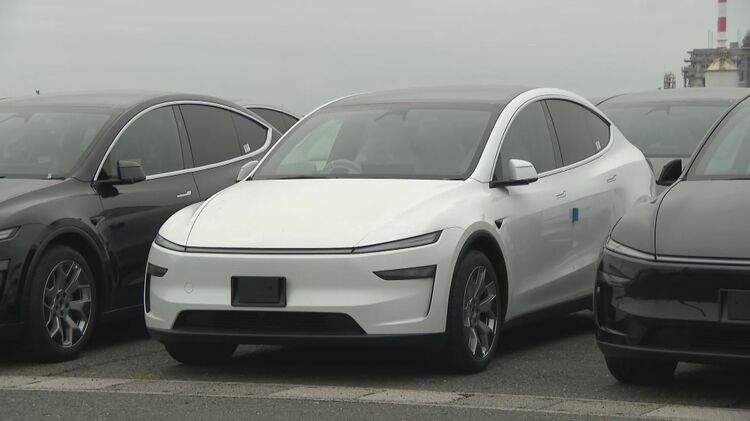自動車輸入台数33年連続日本一の愛知・三河港 アメリカの電気自動車