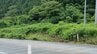 軽乗用車が道路のり面に衝突、男性1人が死亡　業務中の事故（山形）　|　山形のニュース│TUYテレビユー山形