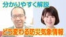 【わかりやすく】どう変わる防災気象情報　5段階『警戒レベル』を明記して再編！「レベル4土砂災害危険警報」とは　|　宮城のニュース│tbc NEWS│tbc東北放送