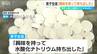 “菓子袋”に入れ替え… 中学生が菓子と偽り水酸化ナトリウムを下級生に食べさせた問題　中学校「男子生徒は興味を持って持ち出した」新潟・五泉市　|　新潟のニュース・天気｜BSN NEWS｜BSN新潟放送