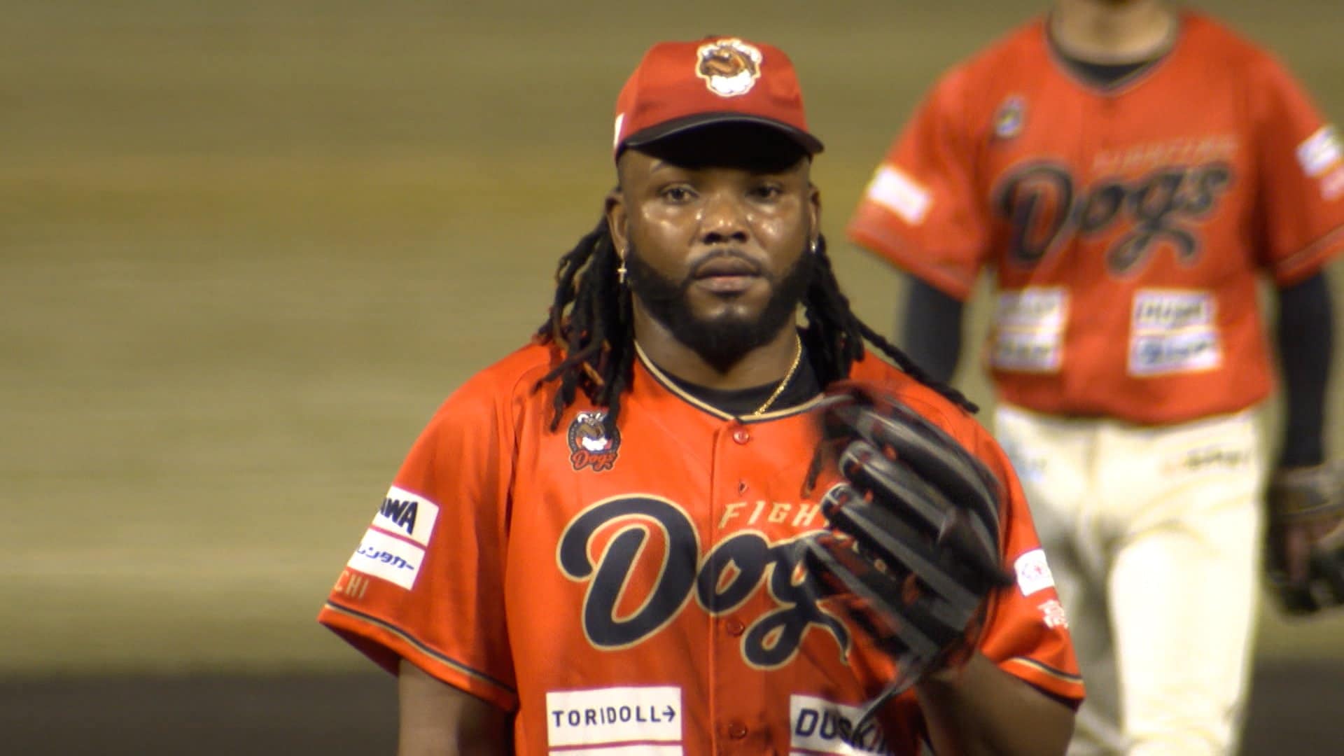 B121超超激レア種！激デカ美形！レカノプテリス トリトリ 現地球 4/20輸入