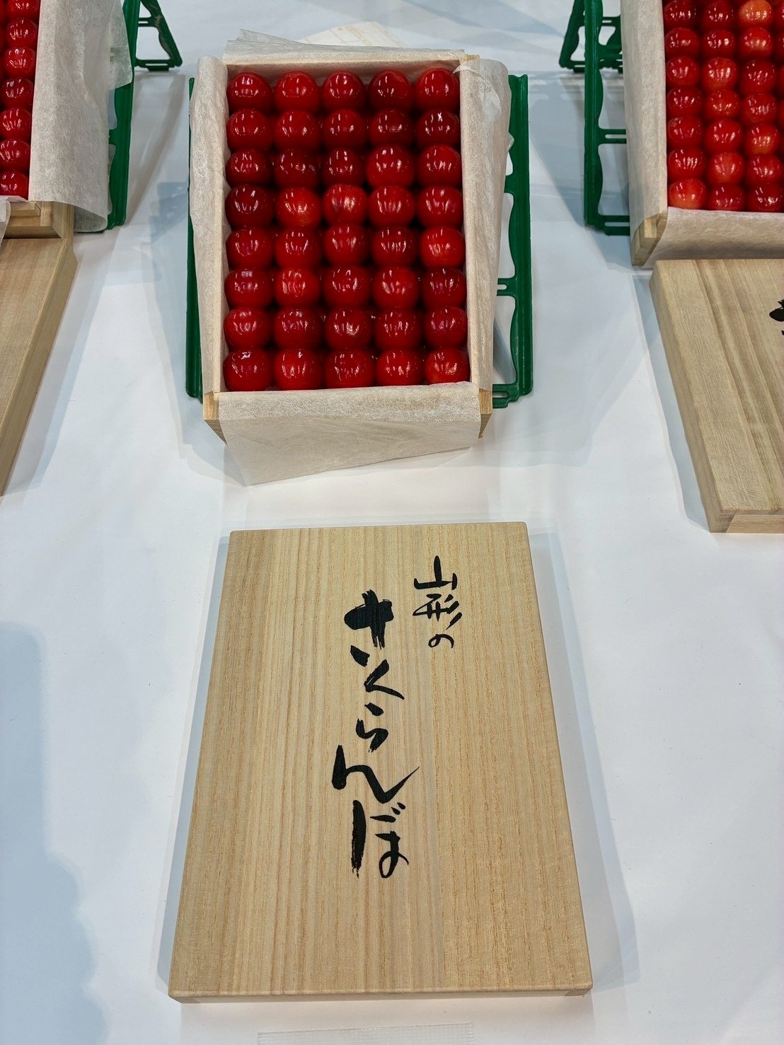 最終値下げ【ほぼ新品・最高級】地歌三味線鼈甲撥　上質本鼈甲　一枚甲手造り品 三味線用・撥】高山製 NEW甲（津軽用新素材撥） | 和楽器市場·新館