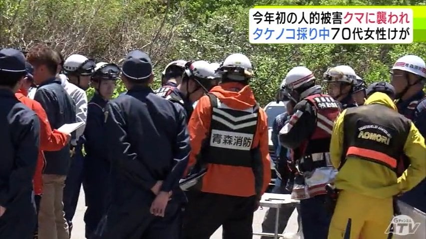 クマに背中を引っかかれ足を噛まれる… タケノコ採りで八甲田山系に入山