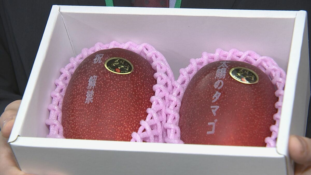【ネズミちゃんさま専用】宮崎県産　摘花マンゴー約10キロ ネズミちゃんさま専用】宮崎県産 摘花マンゴー約10キロ