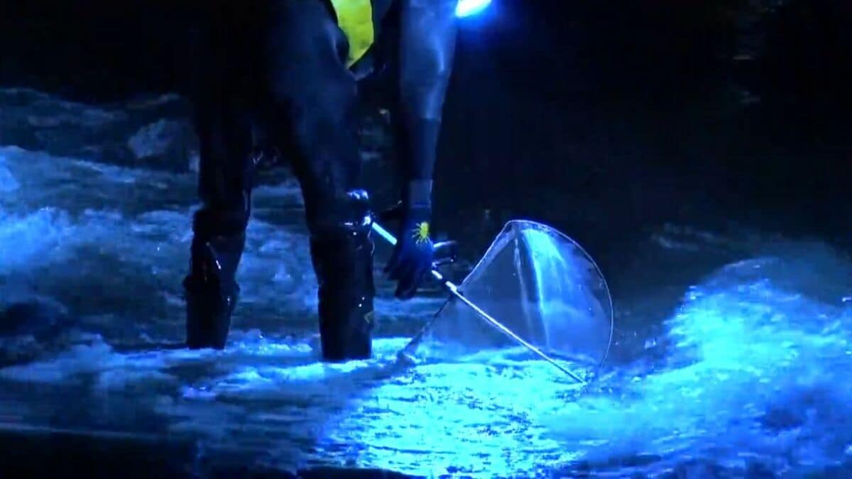 img_a9ac5c80c78948f8716f9a3343