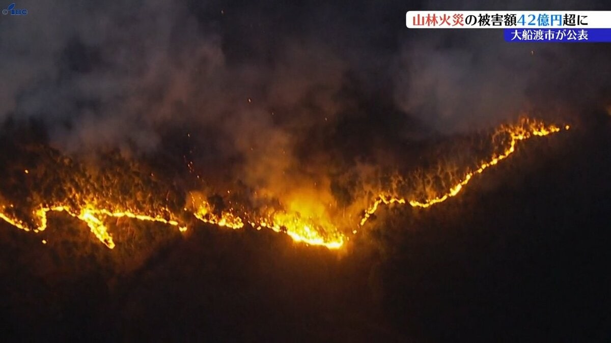 大分・湯布院の山林で消えた20代女性、手がかりなき「空白の72時間」と焦燥の捜索現場