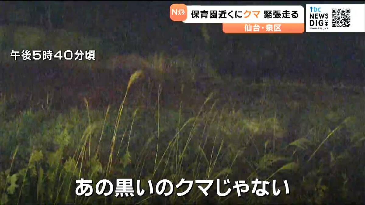 仙台の保育園近くにクマ出没で一時緊張走る 園児が外に出られず・麻酔