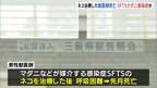 ネコの治療後に獣医師が死亡　マダニなどが媒介する感染症「SFTS」に感染か　三重県|TBS NEWS DIG