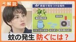 秋に「蚊」大量発生か…“足裏の除菌”が効果的?刺されにくくするハウツーまとめ【Nスタ解説】|TBS NEWS DIG