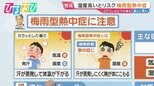 気温27℃でも要注意!?湿度高いとリスク『梅雨型熱中症』【ひるおび】|TBS NEWS DIG