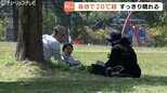 おだやかな晴れの一日に　各地で20℃超える　強い日差し避け木陰でのんびり　27日にかけては雲が広がり雨に　富山|TBS NEWS DIG