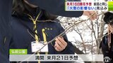 全国有数のサクラの名所・弘前公園4月16日開花予想 平年から6日早く「雪の影響はない」 | 青森のニュース│ATV NEWS│青森テレビ