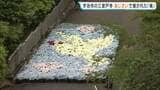 約2万株のあじさい「三室戸寺」で平和と愛の象徴した「鳩」と「ハート」が描かれる 訪れた人「目とくちばしがピンクでかわいい」京都・宇治市|TBS NEWS DIG