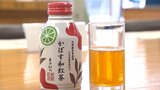 県産かぼす×紅茶 「かぼす和紅茶」の完成報告会 大分 | 大分のニュース|OBS NEWS|大分放送