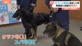 警察犬2頭を表彰 ご褒美はジャーキー 現場に残された臭いから逃走方向を特定 パトカーと衝突し現場から逃走していた男の逮捕に貢献 神奈川県警|TBS NEWS DIG