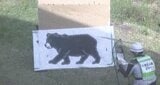 クマが市街地に出没したことを想定…長野市が銃を使って駆除する「緊急銃猟」の手順を確認する初めての訓練「難しい判断を迫られることになる…」 | SBC NEWS | 長野のニュース | SBC信越放送