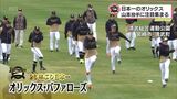 プロ野球 春季キャンプイン オリックス・バファローズ 山本由伸投手(都城高出身)に注目集まる | MRTニュース | MRT宮崎放送