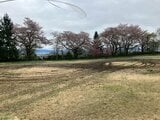 車止めを避けるようにして強引に侵入か 公園内でドリフト? そこには深いタイヤ痕が... 警察に被害届けを提出(山形・山辺町) | 山形のニュース│TUYテレビユー山形