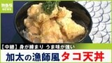 伝統のタコつぼ漁が最盛期!うま味たっぷりな希少な国産"加太のマダコ"で漁師風丼づくり!和歌山【川地洋平の最旬!丼マン】|TBS NEWS DIG