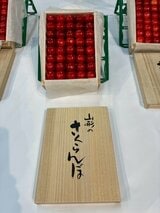 一粒あたり約2万6000円　さくらんぼ「佐藤錦」過去最高額の180万円で落札　東京・大田市場（山形）|TBS NEWS DIG