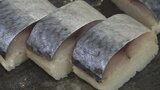 海産物や日本酒、お茶など 静岡県焼津市の物産展 甲府・岡島|TBS NEWS DIG