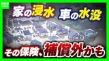 「家が浸水しても補償なし?」豪雨に備え見直したい『保険』の話…火災保険の“水災”外してない?車両保険は入ってる?3メガ損保は“3条件”に要注意【気象予報士&FP解説】|TBS NEWS DIG