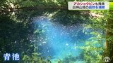 珍しい野鳥「アカショウビン」も飛来　神秘的な青い水面の十二湖に多くの観光客|TBS NEWS DIG