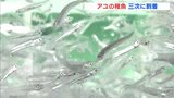 春に放流するアユの稚魚　育成場に到着　広島・三次市　|　RCC NEWS | 広島ニュース | RCC中国放送