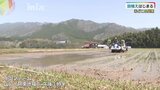 東京ドーム14個分の水田　米どころで田植えはじまる|TBS NEWS DIG