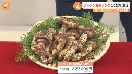 秋の味覚の王様“マツタケ”今年は？注目はブータン産「国産に近く、クセ