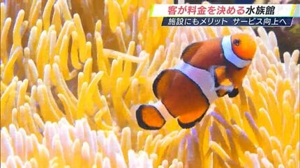 すごくいい 画期的」水族館で客が値段を決めるポストプライシング制度