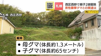 札幌市西区で捕獲した親子グマ2頭を駆除 体長は母クマ1.3m、子グマ65