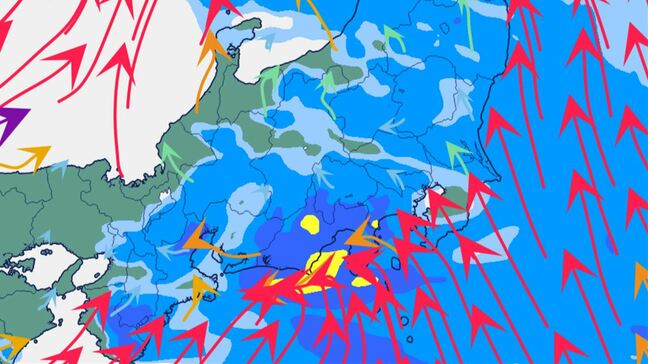 警報級の可能性も　関東地方南部と伊豆諸島　10日明け方から昼過ぎにかけ、雷を伴った激しい雨の所が　【雨と風のシミュレーション】|TBS NEWS DIG