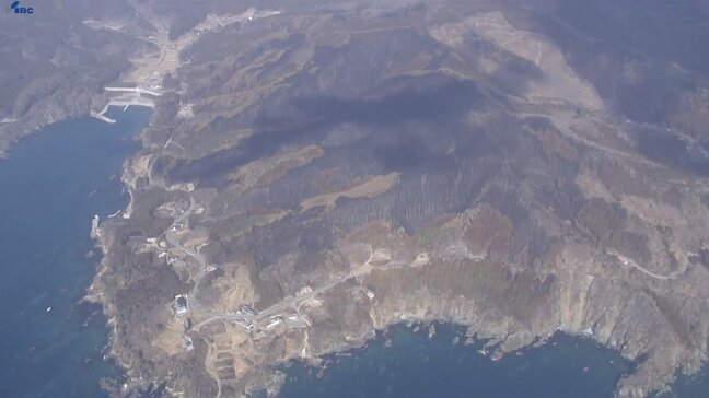 大船渡市山林火災の産業被害は29億円超に上ることが判明 大船渡市が発表|TBS NEWS DIG