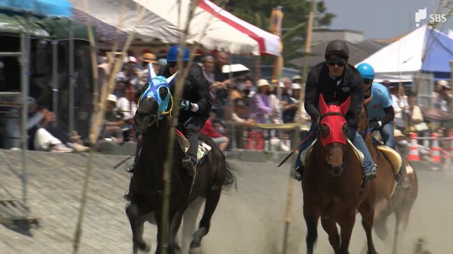 「実際見ると迫力が」サラブレッドが砂浜を疾走 海岸で恒例の草競馬大会=静岡・牧之原市|TBS NEWS DIG