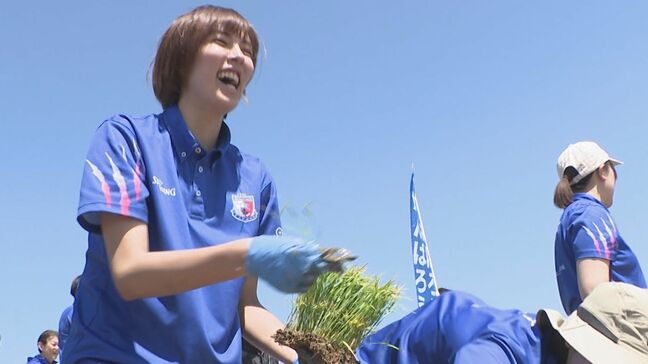 PFUブルーキャッツ石川かほくの選手も“助っ人”参戦 地震で液状化被害が激しかった石川・内灘町で「復興を思い」田植え|TBS NEWS DIG