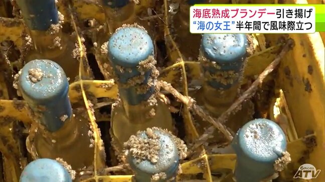 商品名はギリシャ神話の“海の女王”「アムピトリーテー」　水深21ｍの海底熟成のブランデーが引き揚げ　関係者が状態を確認|TBS NEWS DIG