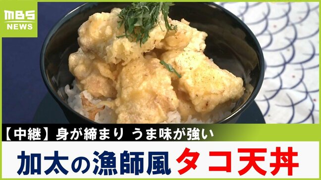 伝統のタコつぼ漁が最盛期！うま味たっぷりな希少な国産"加太のマダコ"で漁師風丼づくり！和歌山【川地洋平の最旬！丼マン】|TBS NEWS DIG
