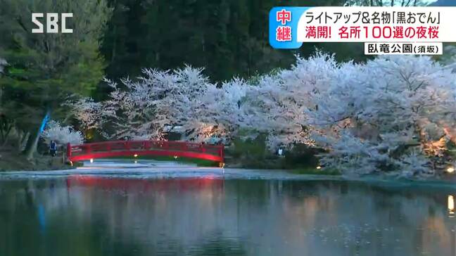 日本の「さくら名所100選」の1つ…信州須坂市・臥竜公園「満開の桜」＆「ライトアップ」桜と楽しむ名物グルメ！真っ黒いつゆが特徴の「黒おでん」も…|TBS NEWS DIG