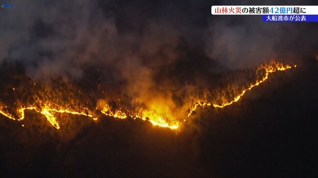 大船渡の大規模山林火災、被害総額が42億円余りに上る 9月に発表した額から13億円増額 被害額は今後も増える見込み 岩手|TBS NEWS DIG