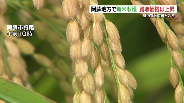阿蘇の新米60kg 買取価格は値上がりし3万円超える　「買い控え」の懸念も|TBS NEWS DIG