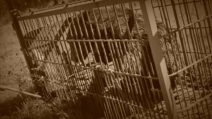 ハンター出動”拒否”問題が終息か「お前、俺のこと知らねえのか？」トラブル発端の副議長が直接謝罪…積丹町は新たなルールを定め、猟友会は活動再開　|　北海道のニュース｜HBC北海道放送