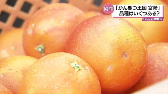 「かんきつ王国・宮崎」県内で栽培の品種は何種類?　　|　MRTニュース ｜ ＭＲＴ宮崎放送