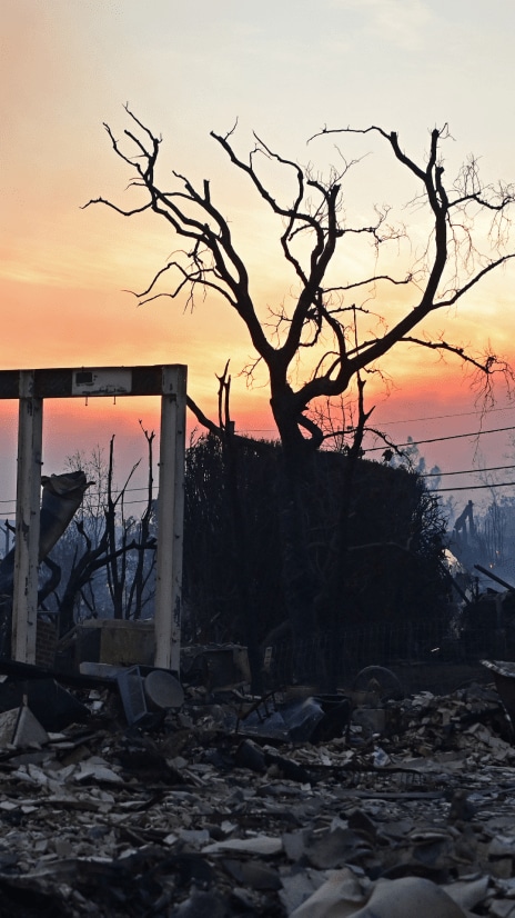 ロス近郊山火事、消火活動で鎮火前進－当局者は責任のなすり合い